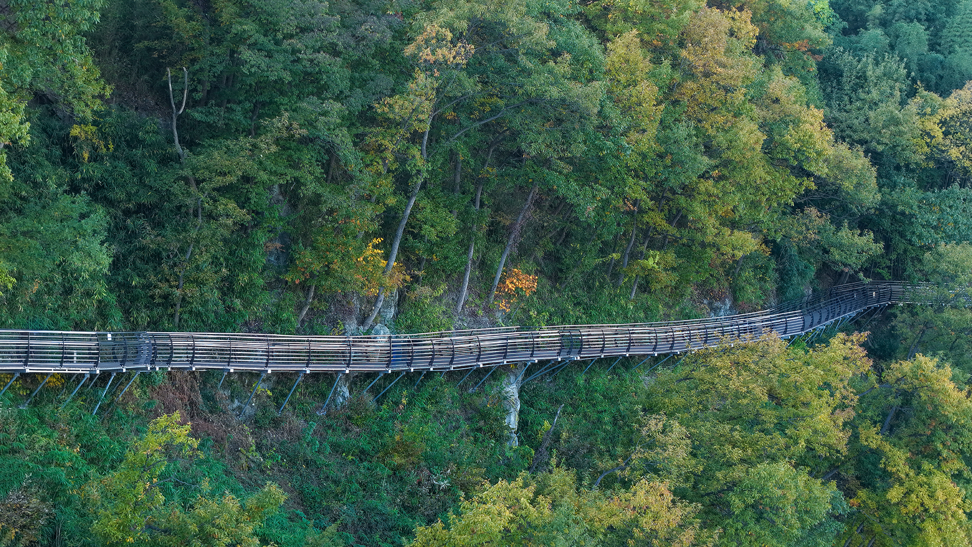 용두산생태공원